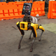 Illustration for article titled Telemedicine Doesnt Need Boston Dynamics Nightmare Robot Dog